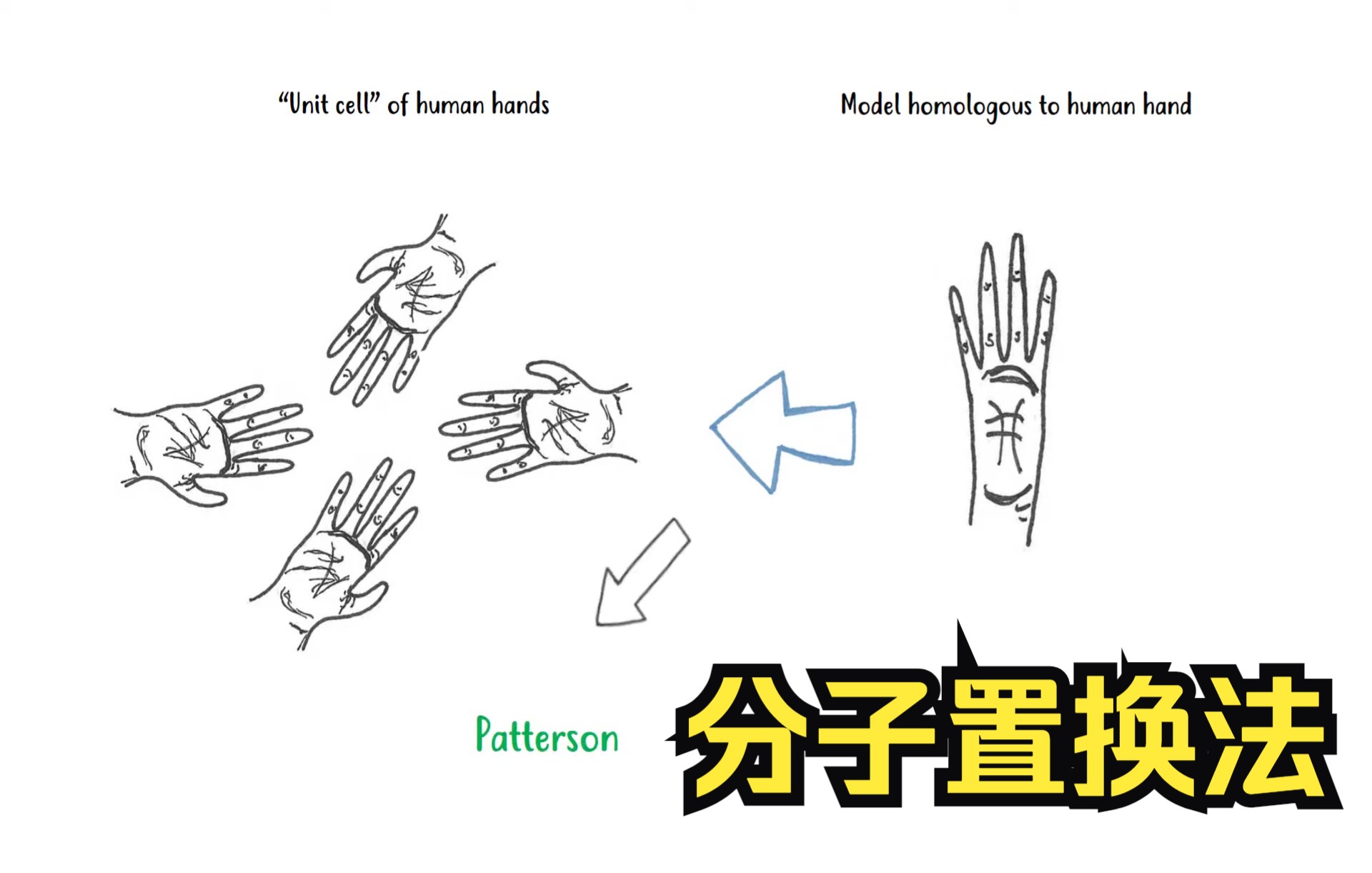 【英文字幕】X射线晶体学之分子置换法解析蛋白质结构简介 How does molecular replacement work哔哩哔哩bilibili