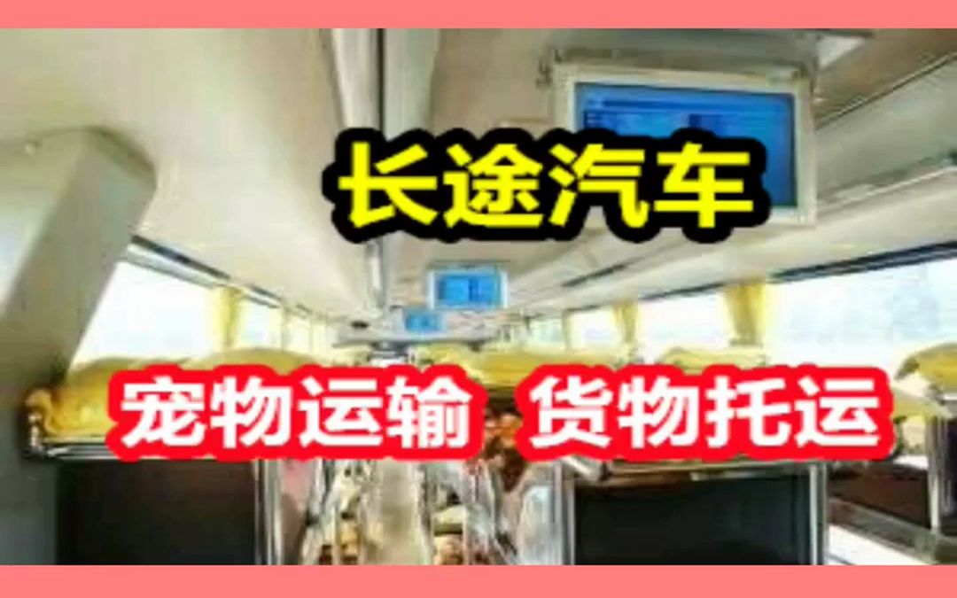 路桥到益阳的客车班车15858669968路桥到益阳客车汽车<方便快捷哔哩哔哩bilibili