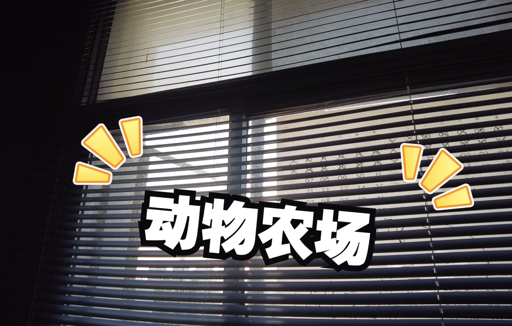 视频封面:《动物农场》2022-6-2排练第10弹