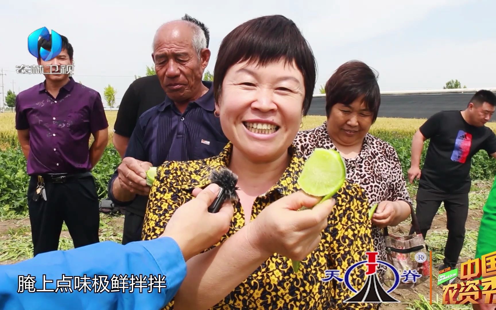 农林卫视农村大市场图片