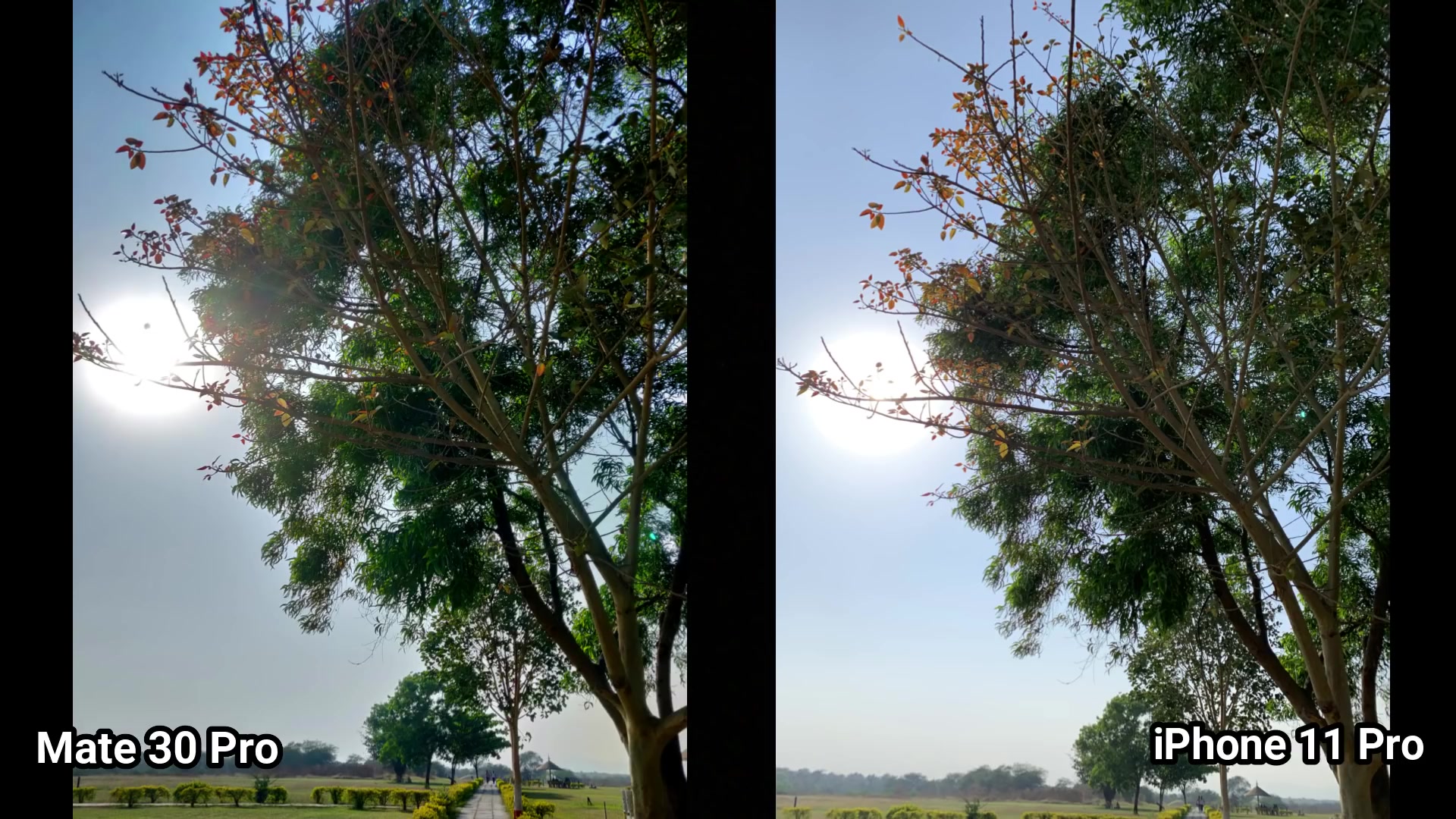 华为mate 30 pro vs iphone 11 pro 相机测试,样张对比_哔哩哔哩_bili