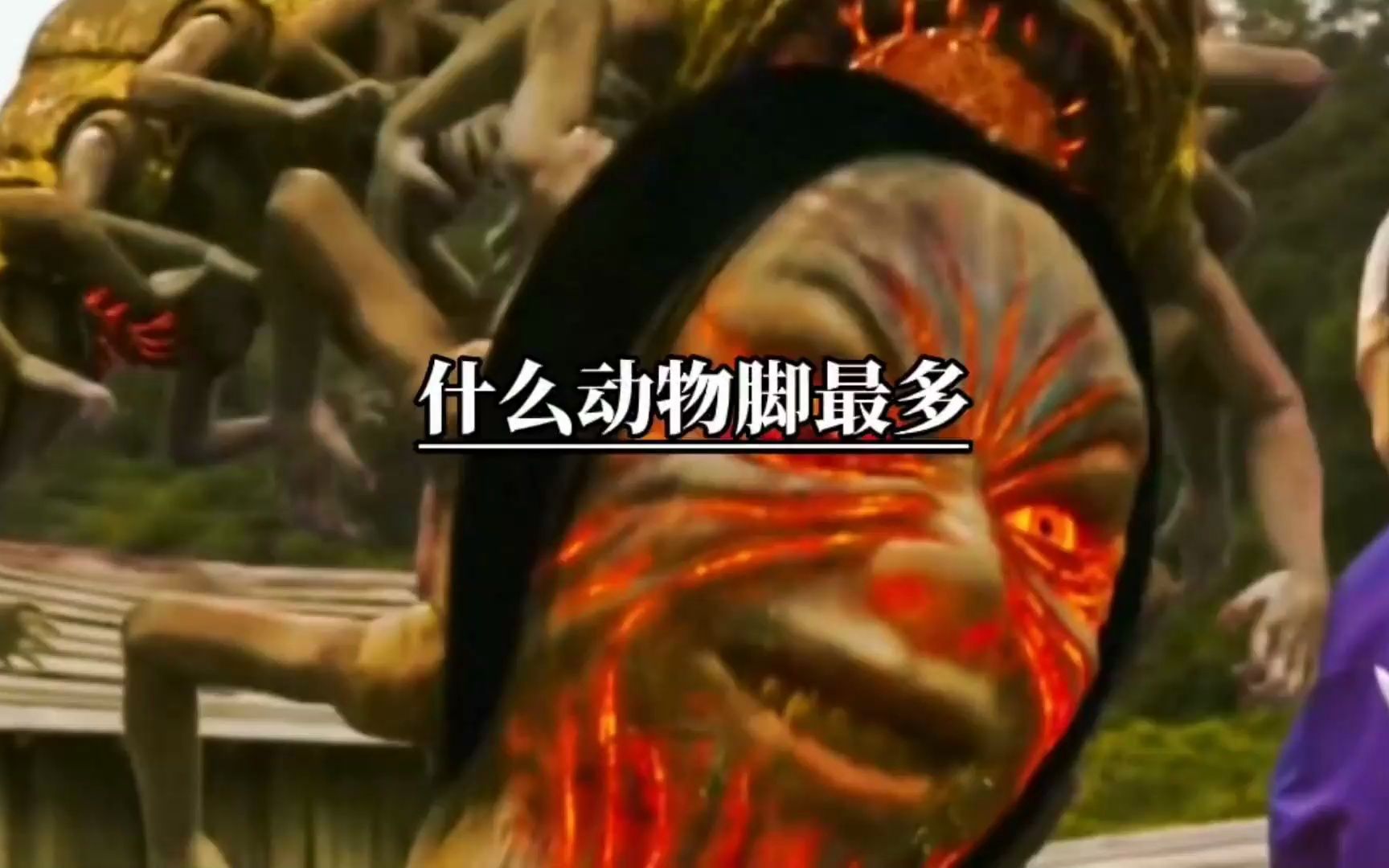什么动物脚最多,你肯定会说蜈蚣,但是还有一种动物