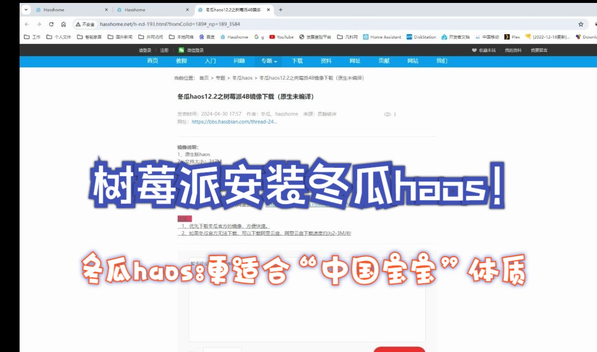 树莓派4B安装冬瓜haos(国产增强版homeassistant)哔哩哔哩bilibili