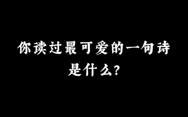 “回首长安佳丽地,三十年前,我是风流帅” | 你读过最可爱的一句诗是什么?哔哩哔哩bilibili