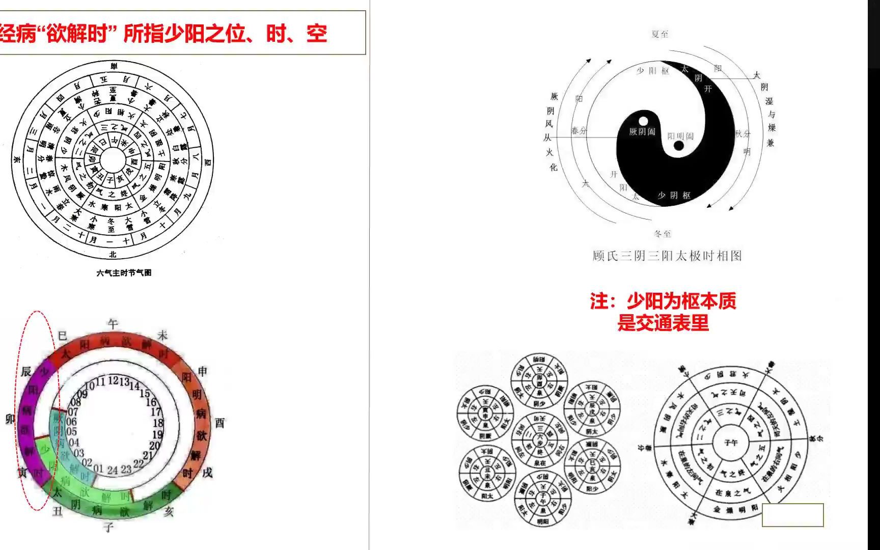 半表半里—《伤寒论》少阳篇柴胡证临床解读哔哩哔哩bilibili