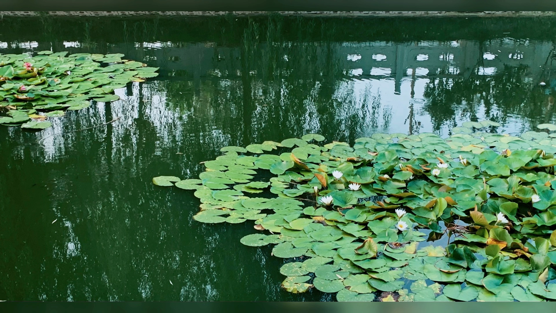 【唯物主义有鬼论者】最新视频来袭,快来看看吧!