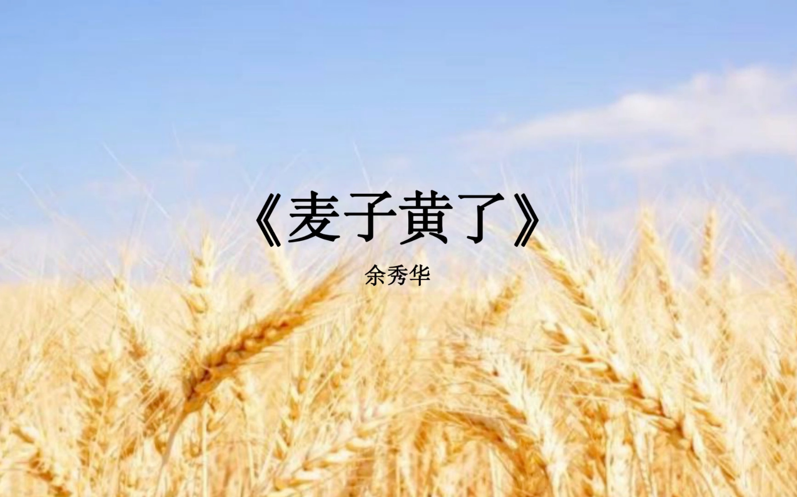 朗诵:余秀华诗两首《麦子黄了》《面对面》哔哩哔哩bilibili