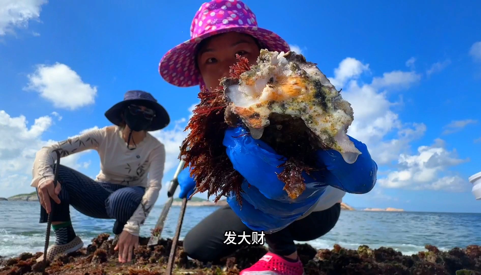 见证外岛藤壶泛滥场面,体验现捞现吃黄金鲍,这趟赶海不虚此行哔哩哔哩bilibili