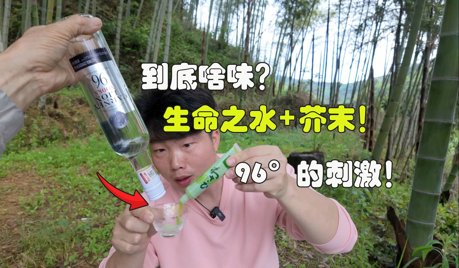 把96度的生命之水和芥末!一口喝下去到底是啥味?嗓子感觉要喷火哔哩哔哩bilibili