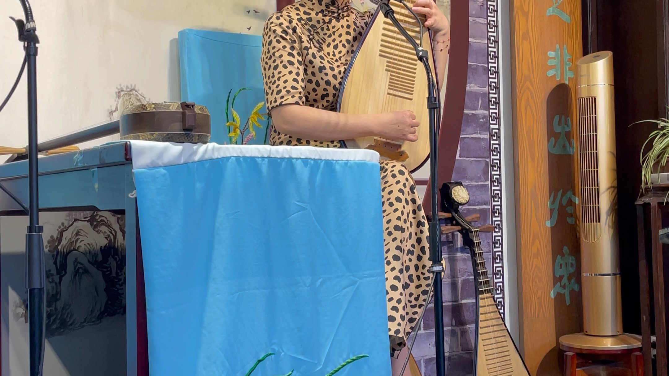 苏州评弹,吴亮莹老师秦淮景