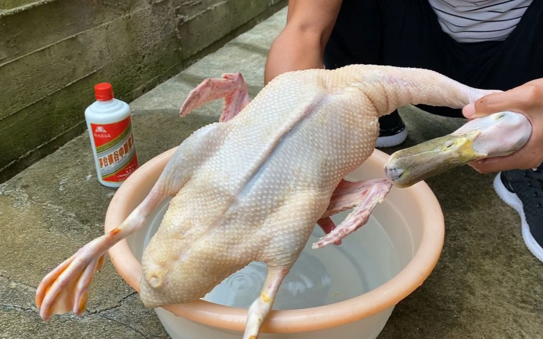 鸭子拔毛原来可以用这种方法就像脱衣服一样快赶紧收藏试一试