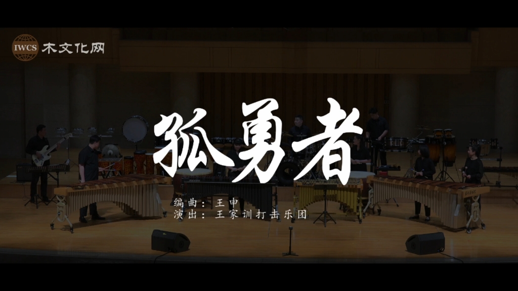 《孤勇者》编曲:王申哔哩哔哩bilibili