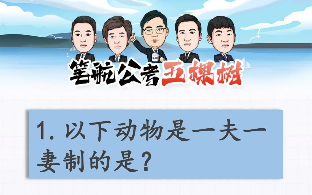 以下动物是一夫一妻制的是?哔哩哔哩bilibili