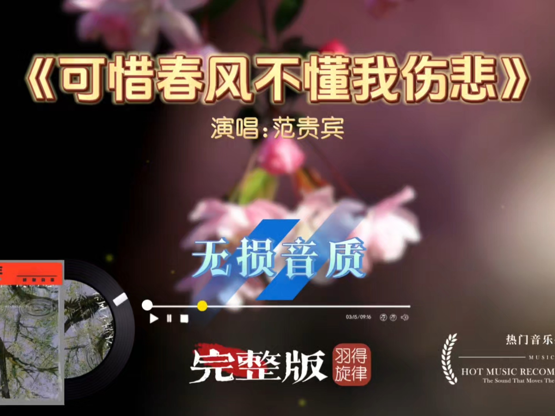 范贵宾《可惜春风不懂我伤悲》完整版，深情催泪，唱尽爱而不得的心酸