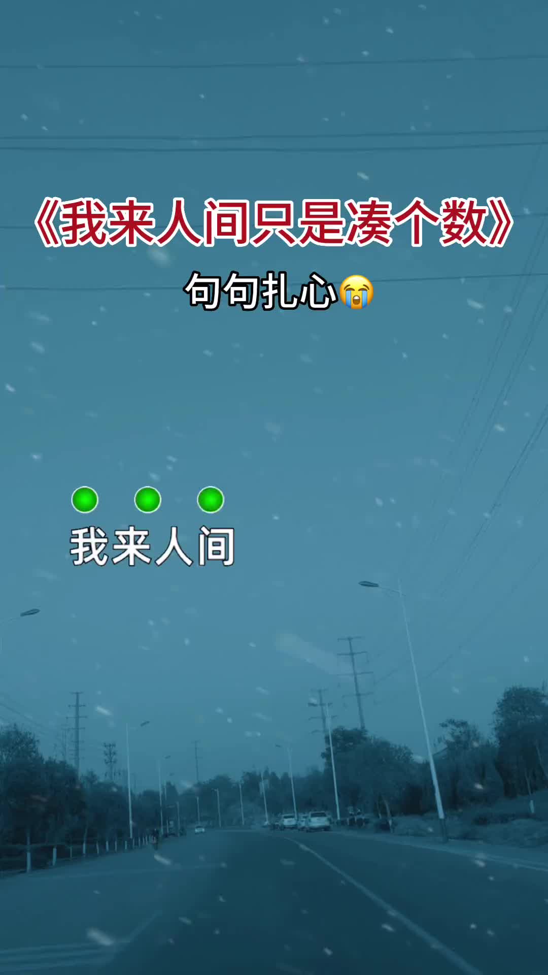 [图]我来人间只是凑个数就怕歌词入了心听着听着就哭了