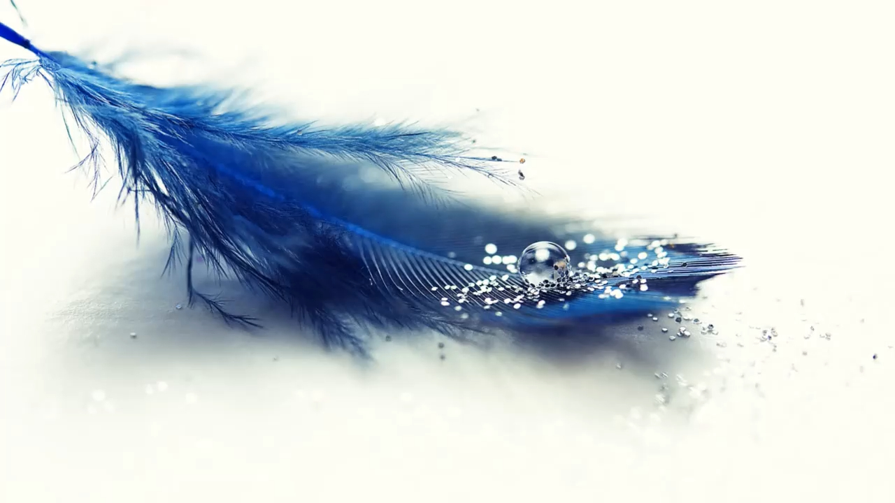 零壹乐队 新沧海一声笑 原版伴奏 无损beat