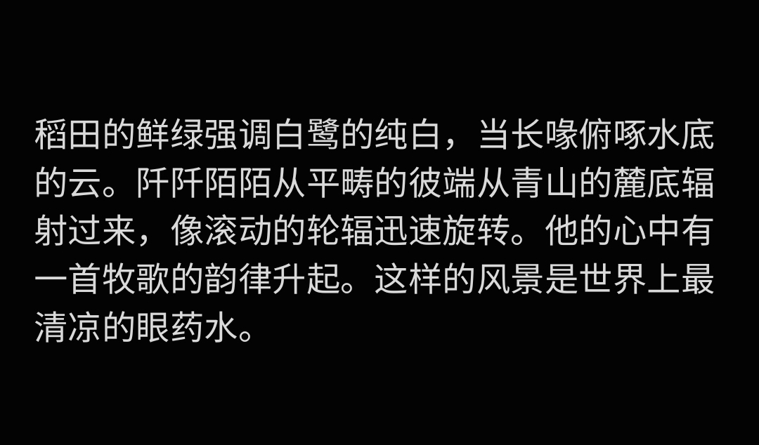 [图]书摘＿个人向|《此心安处，便是吾乡》_你不能真正了解中国的意义，直到有一天你已经不在中国_P2