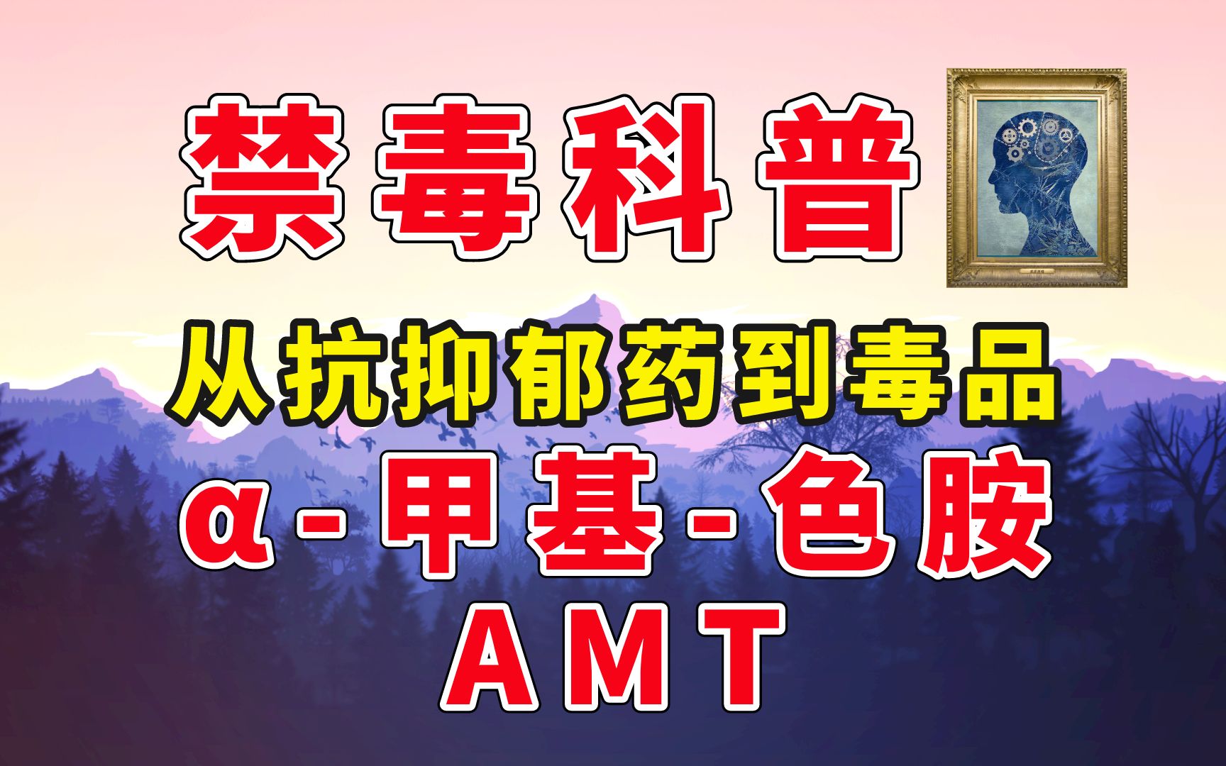 【禁毒科普】从抗抑郁药到毒品:AMT,”𒥟𚮐Š色胺哔哩哔哩bilibili