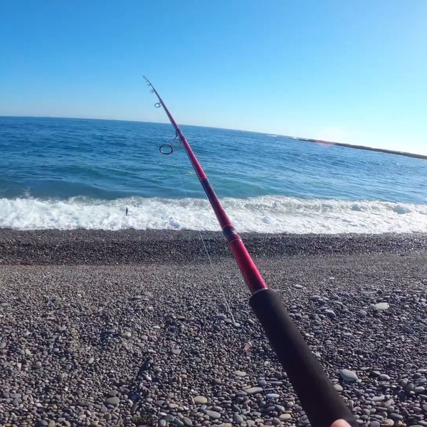 World Shaula BG 21055R-3是最好的Shore Jigging Rod