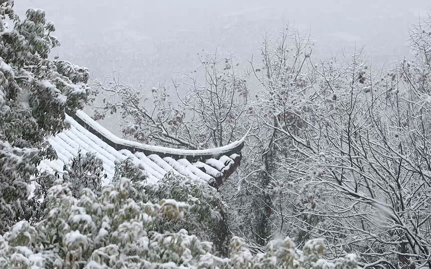 [图]【白噪音】听雪落下的声音｜吴山江湖汇观亭