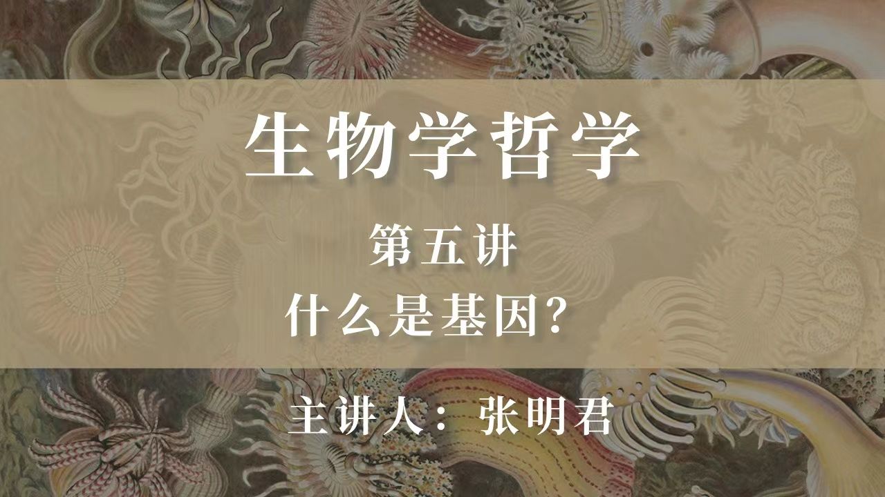 【生物学哲学】第五讲:什么是基因?哔哩哔哩bilibili