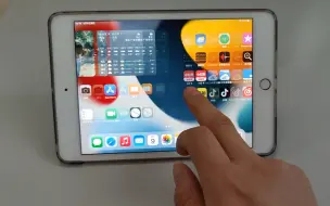 Скачать видео: 2023年使用iPad mini5一个月体验，够用且方便