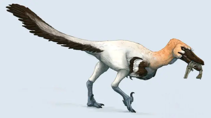 中生代生物科学复原图 01