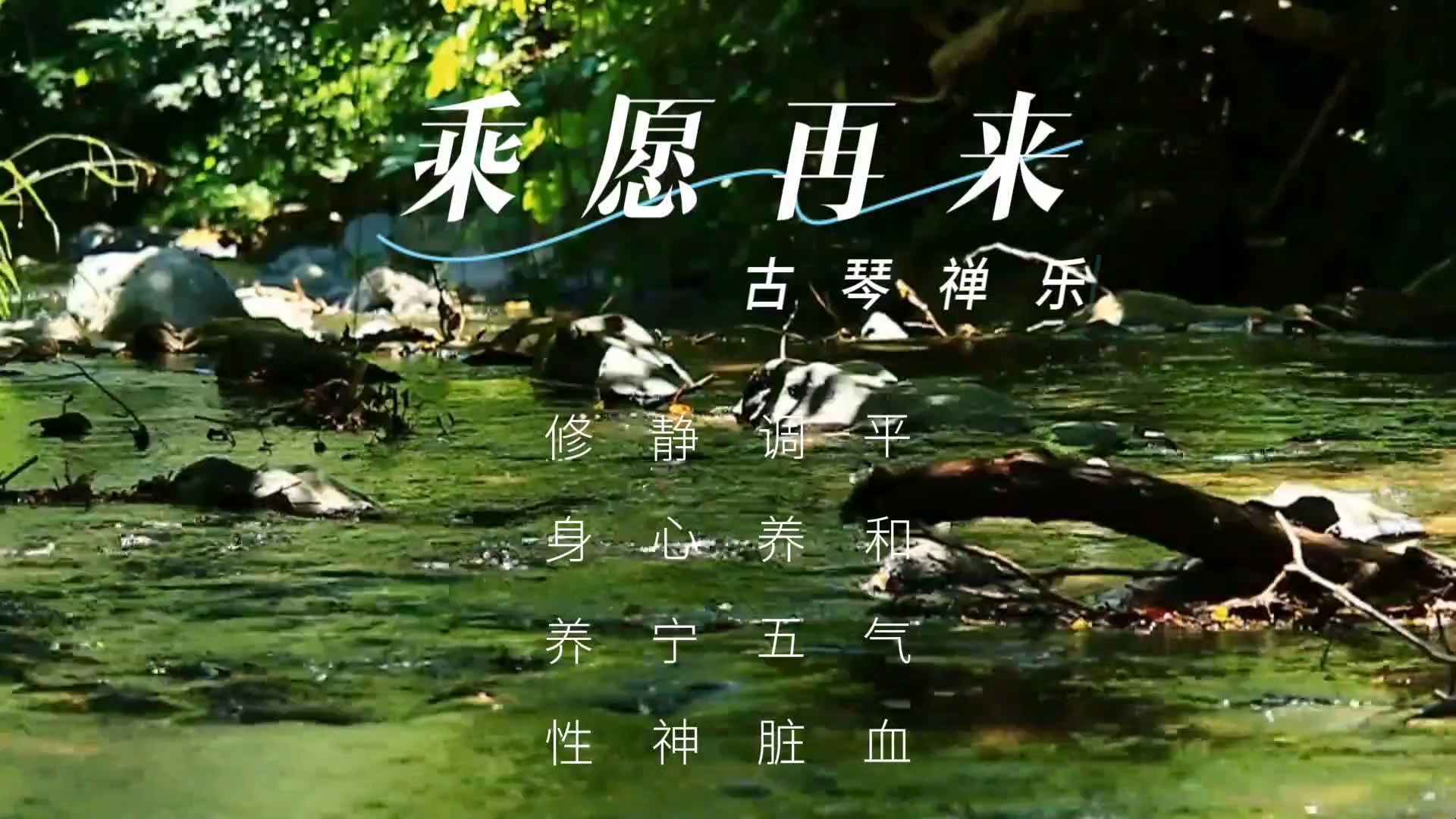 【音乐静听】86古琴禅乐《乘愿再来》平和气血,调养五脏,静心宁神,修身养性,空灵婉转,意境悠远哔哩哔哩bilibili