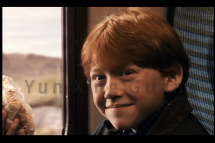 【罗恩】没有人会不爱罗恩!