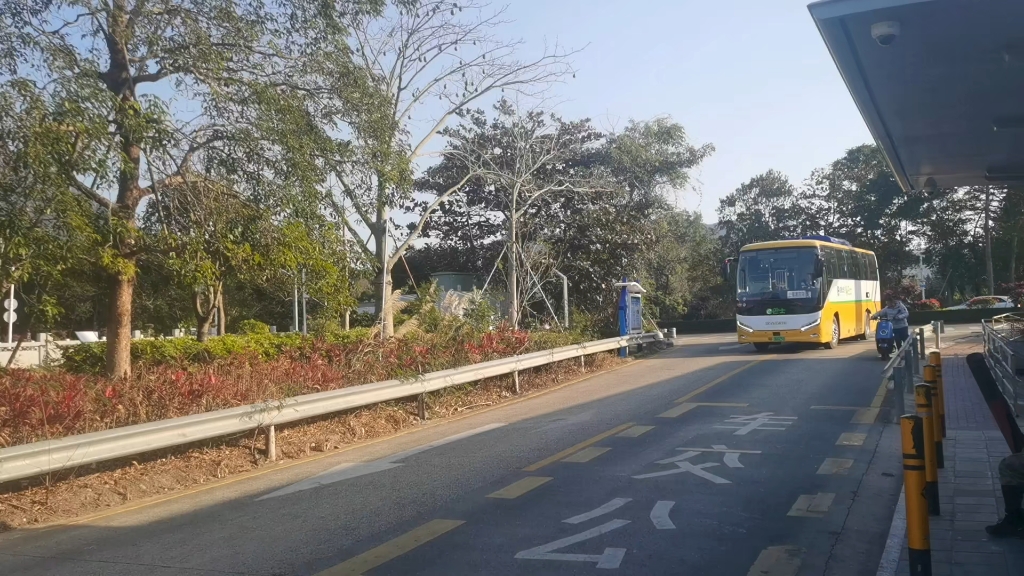 深圳东部公交e11路创维njl6117evg10进新大公交总站