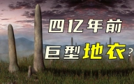 地衣：死生契阔 与子成说