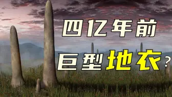【鬼谷闲谈】地衣：死生契阔 与子成说