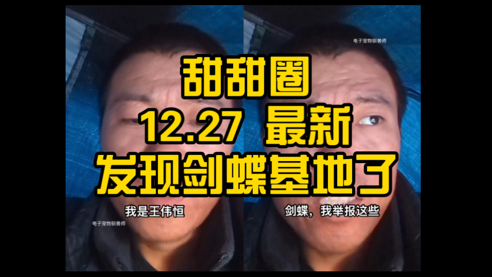 12.27 最新 甜甜圈王伟恒发现剑蝶基地了!-电子宠物驯兽师-电子宠物驯兽师-哔哩哔哩视频