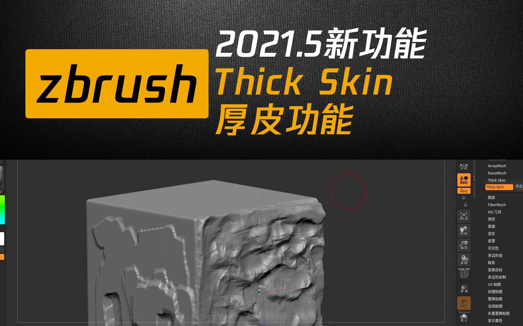 zbrush2021.5新功能Thick Skin厚皮功能哔哩哔哩bilibili