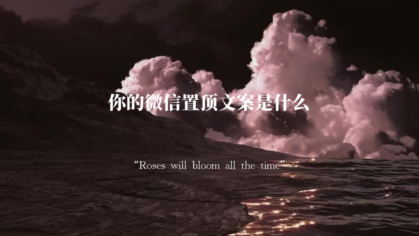 “Roses will bloom all the time”|你的微信置顶文案是什么哔哩哔哩bilibili