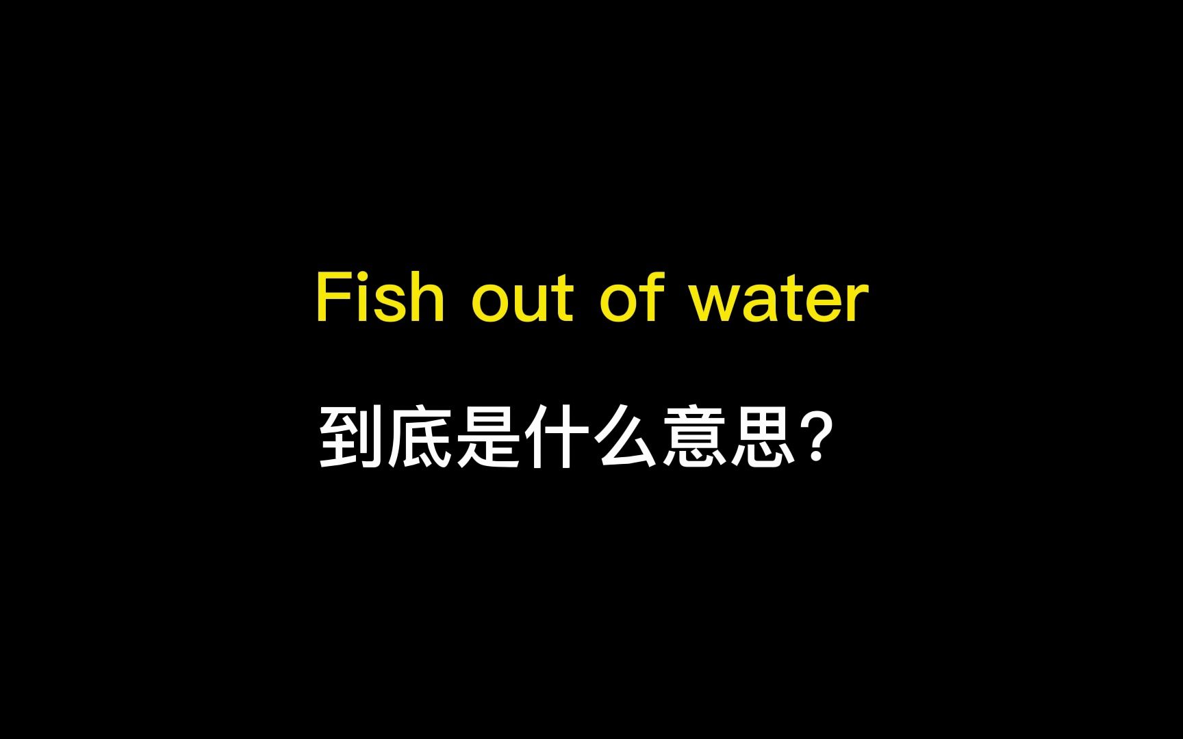 fish out of water到底是什么意思?哔哩哔哩bilibili