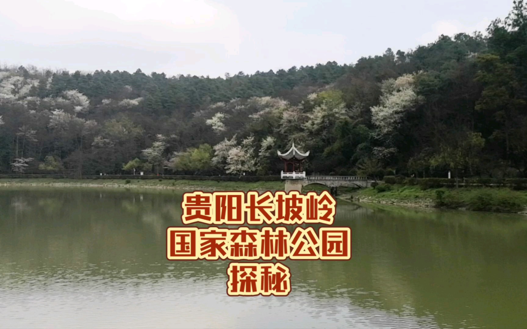 长坡岭公园图片