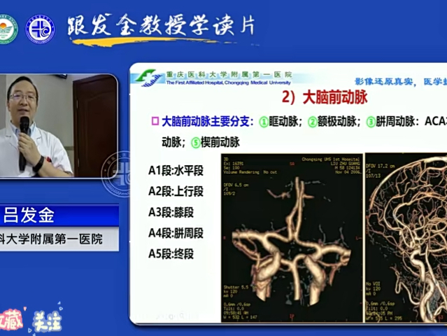 [图]跟发金教授学读片：18-脑血管影像解剖学