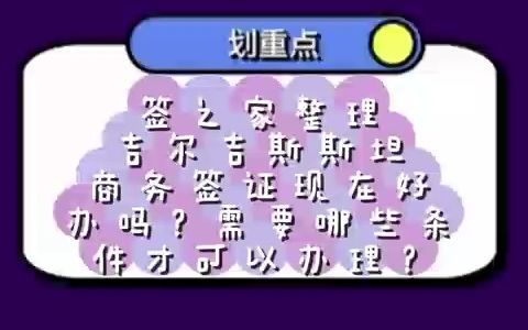 吉尔吉斯斯坦商务签证现在好办吗?需要哪些条件才可以办理?哔哩哔哩bilibili