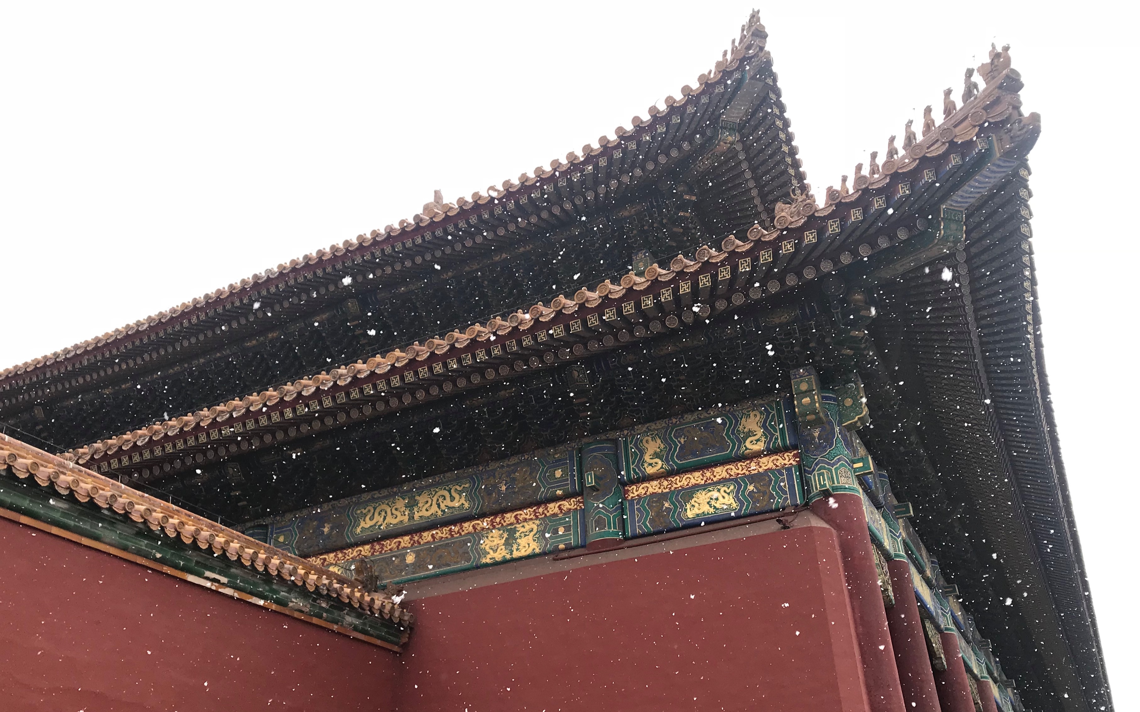 2月故宫飞雪_哔哩哔哩_bilibili