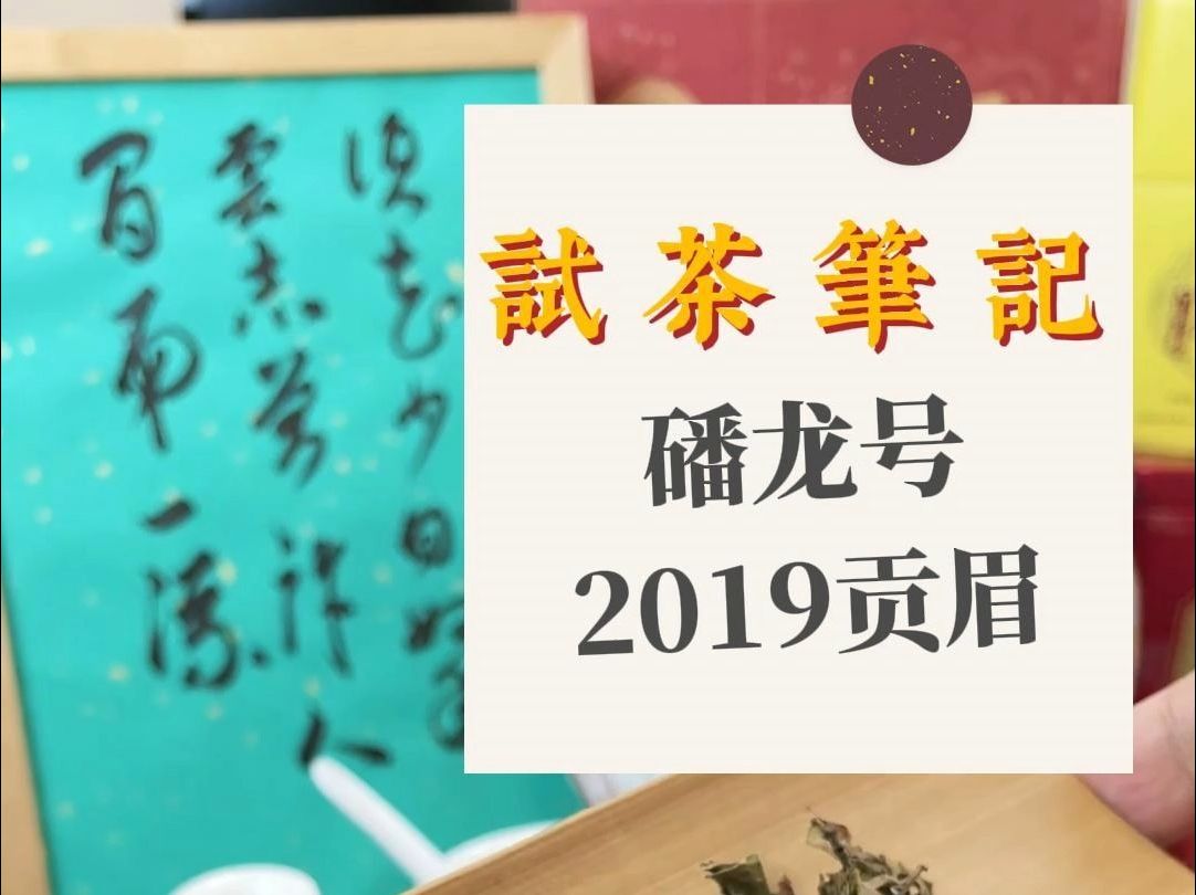 试茶笔记丨磻龙号2019贡眉福鼎白茶哔哩哔哩bilibili