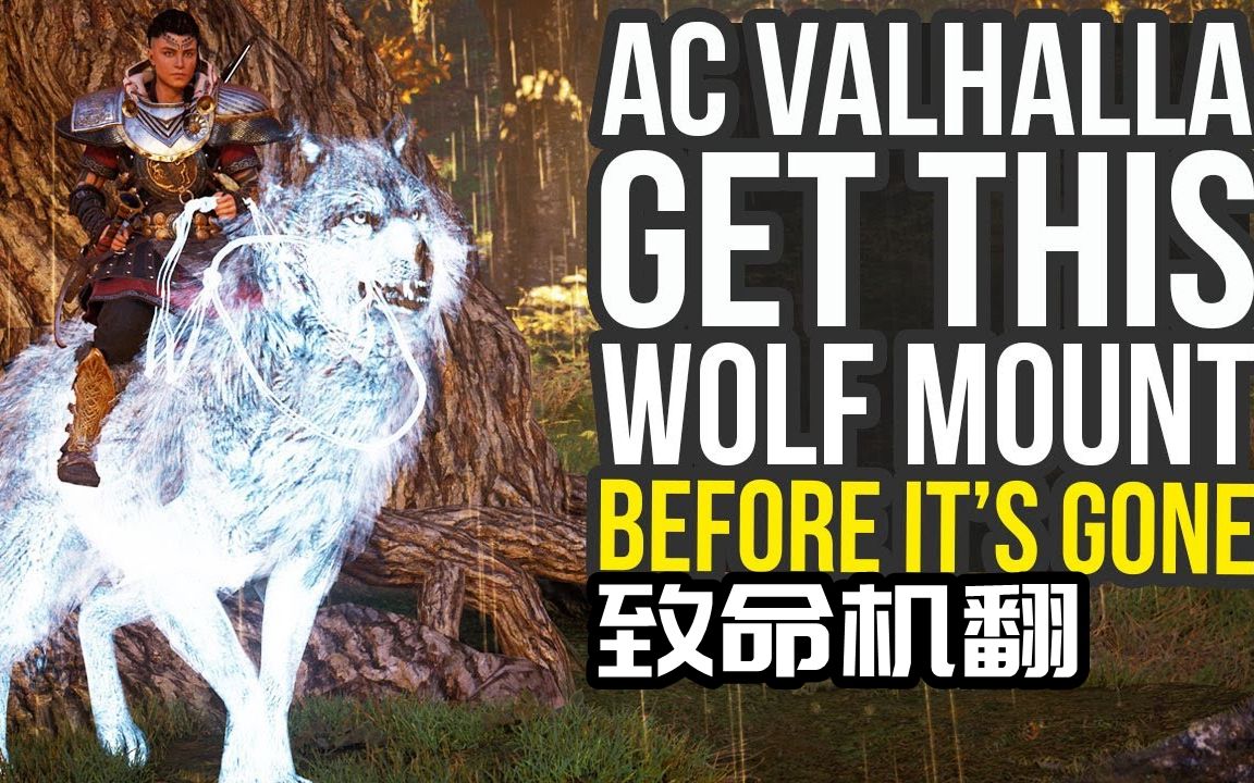 在消失之前获得这个幽灵狼坐骑《刺客信条:英灵殿》