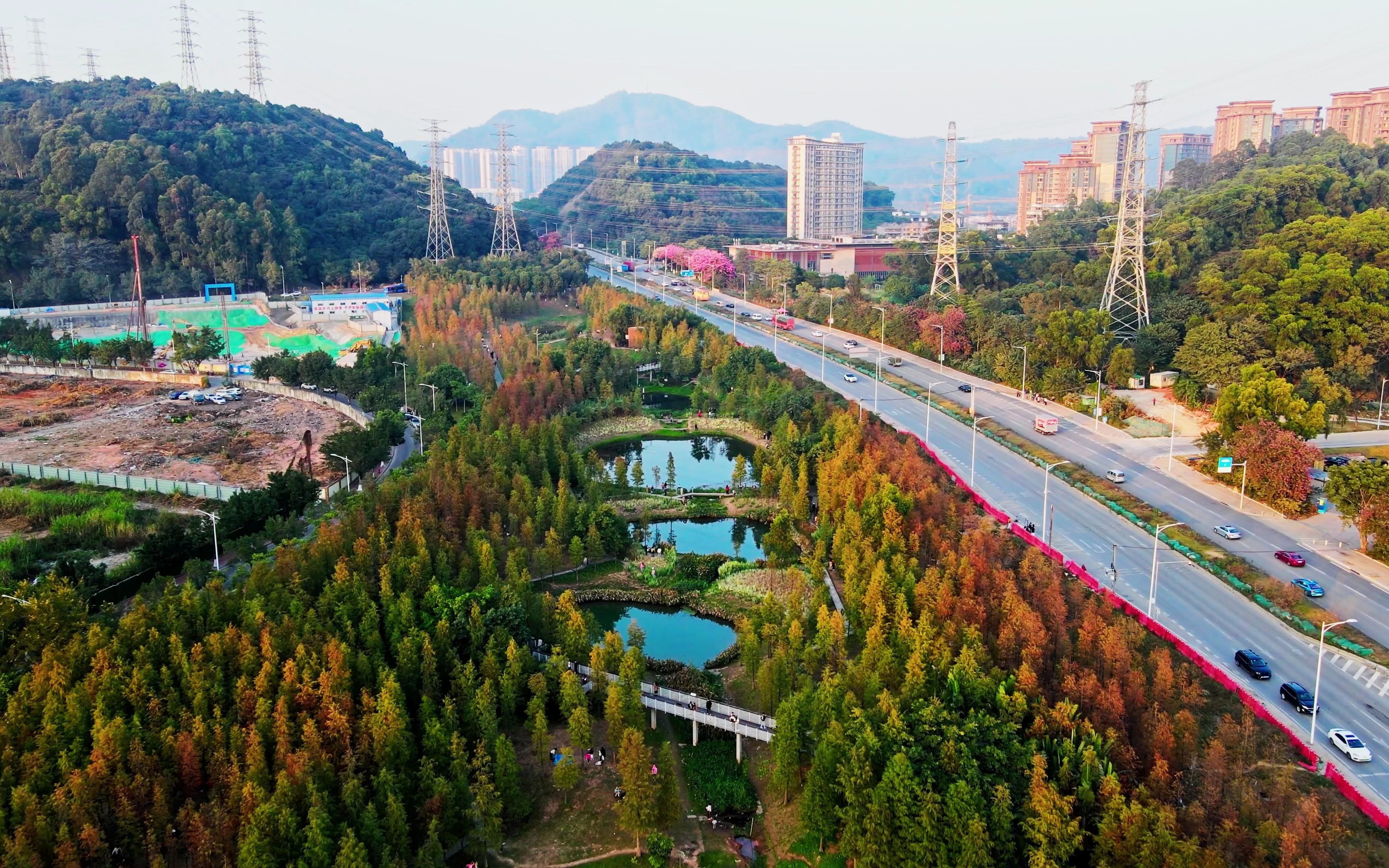 《4k超清》航拍广州大观湿地公园,已经入冬了,广州的秋天姗姗来迟.