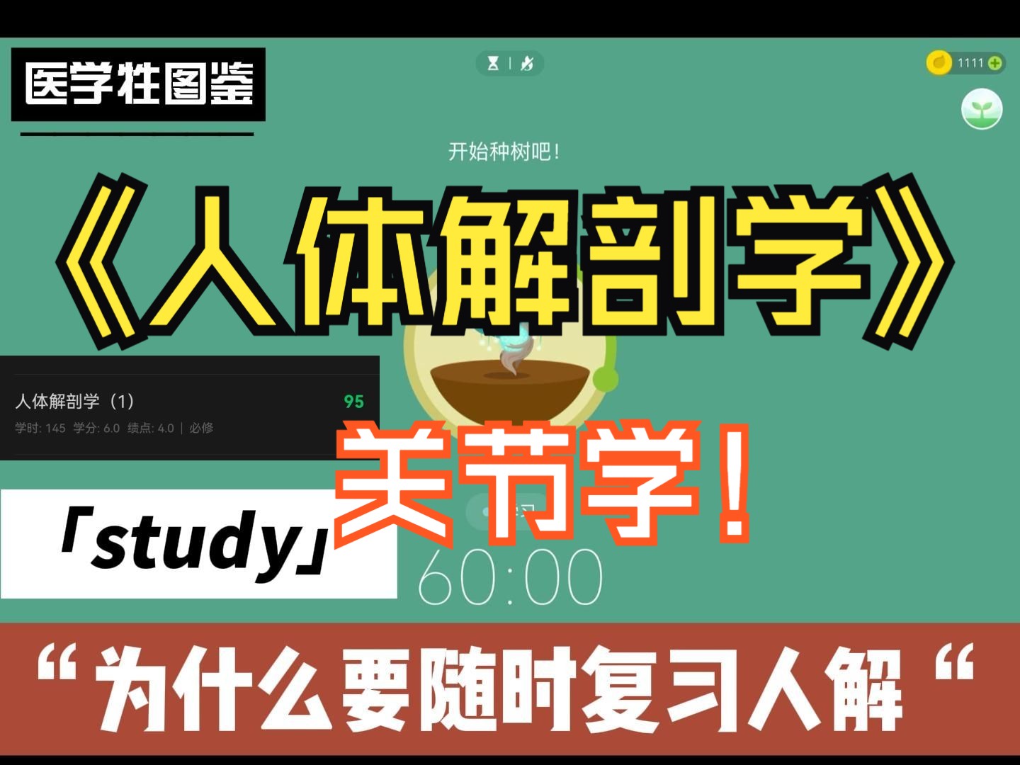 [图]重温霍琨老师人体解剖学_goodnotes_第二章关节学