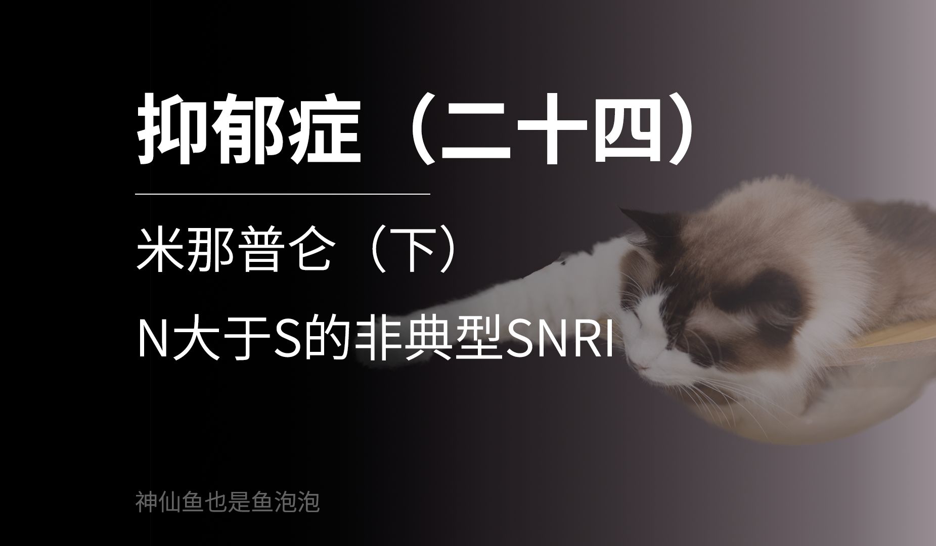 抑郁症(二十四)米那普仑(下)——N大于S的非典型SNRI哔哩哔哩bilibili