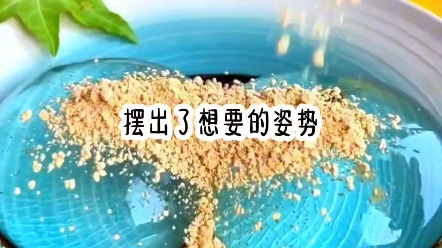 [图]《花样有趣》＃七猫小说看后续