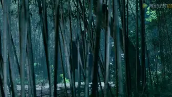 [吴磊·长歌行]弟弟骑马真的是太帅了，骑马戏真的超好看