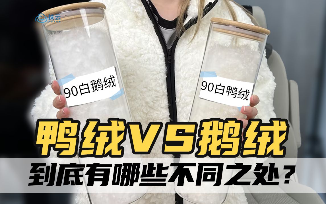 一分钟让你明白鸭绒和鹅绒的不同