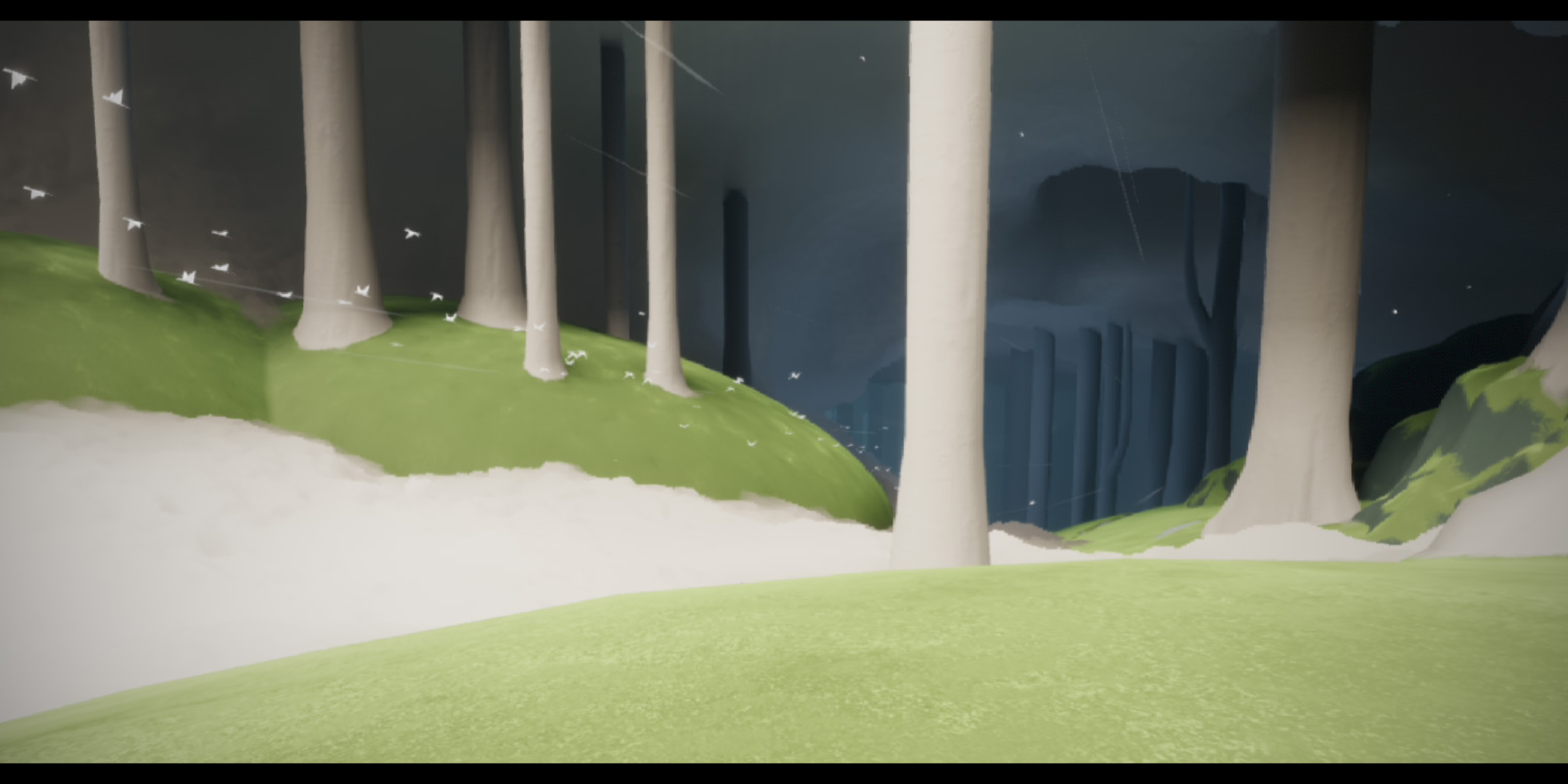 活动  光遇.雨林的风景1