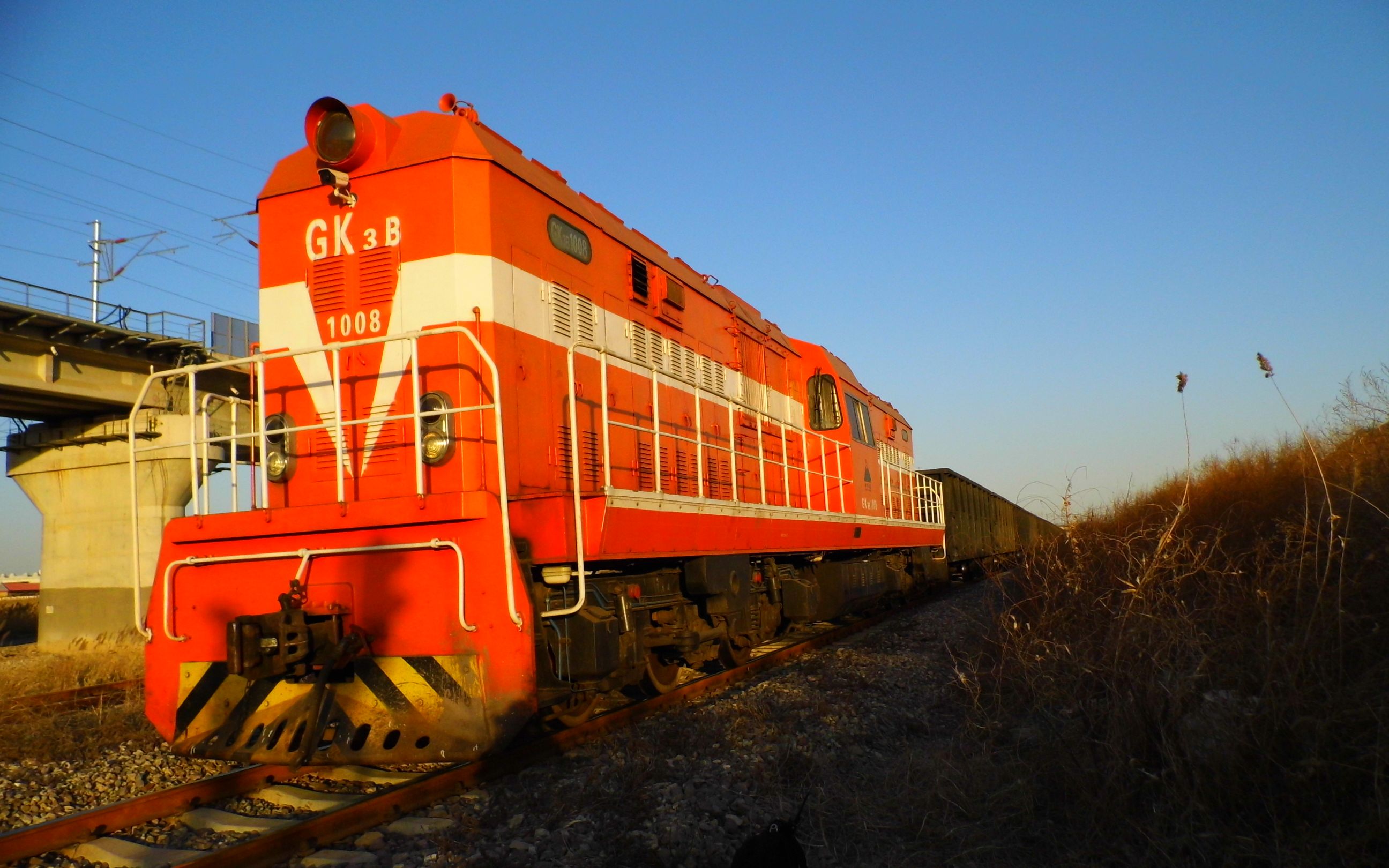 【中国铁路】大港电厂自备线神华gk3b1008鸣笛通过金浩路南大港湿地
